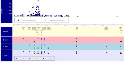 APOE alleles modulate associations of plasma metabolites with variants from multiple genes on chromosome 19q13.3